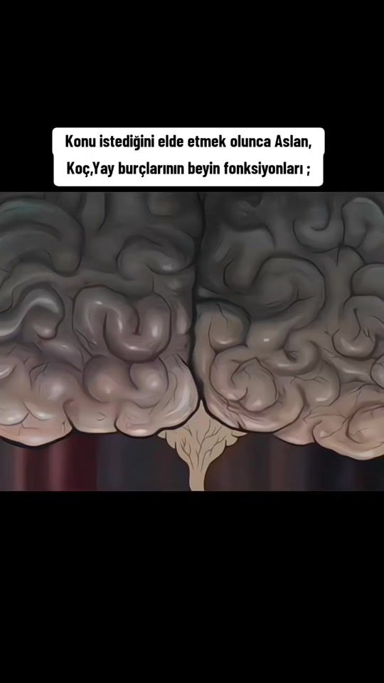 TikTok video thumbnail by 12burcyorumu