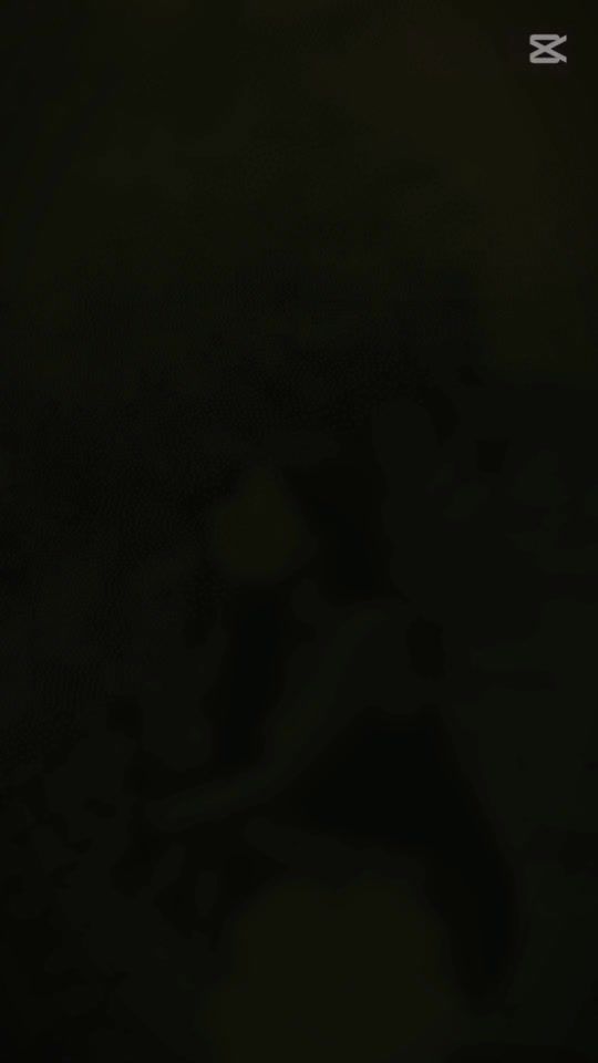 TikTok video thumbnail by npauj.npaim_.1