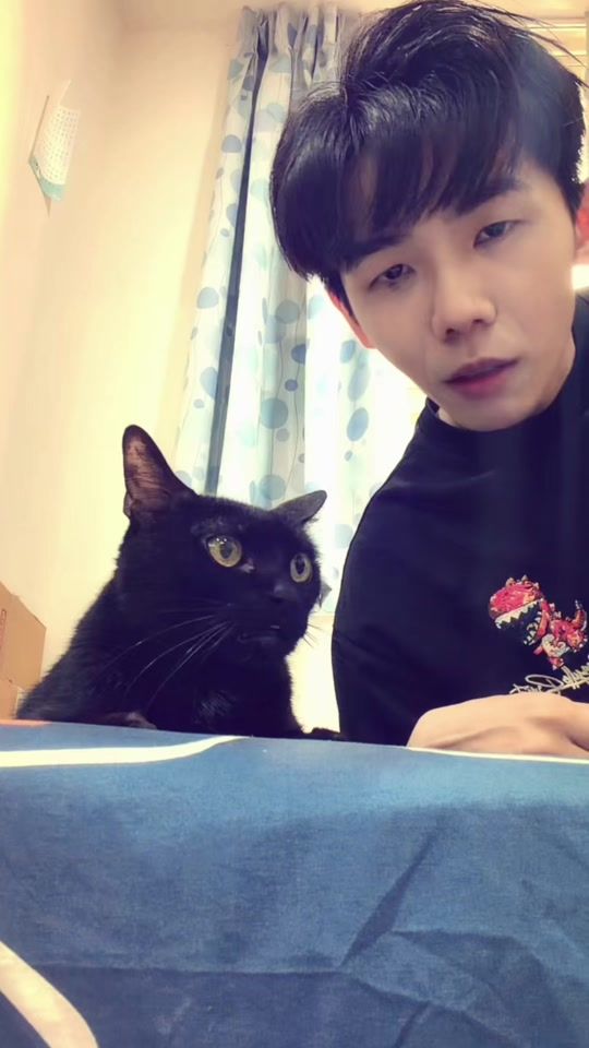 TikTok video thumbnail by hau_never_lie