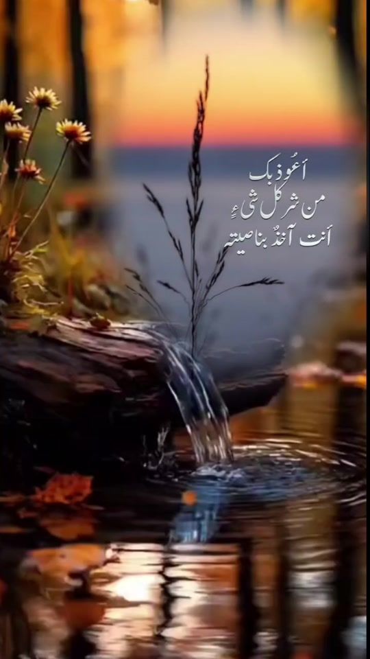 TikTok video thumbnail by abuasb_1982