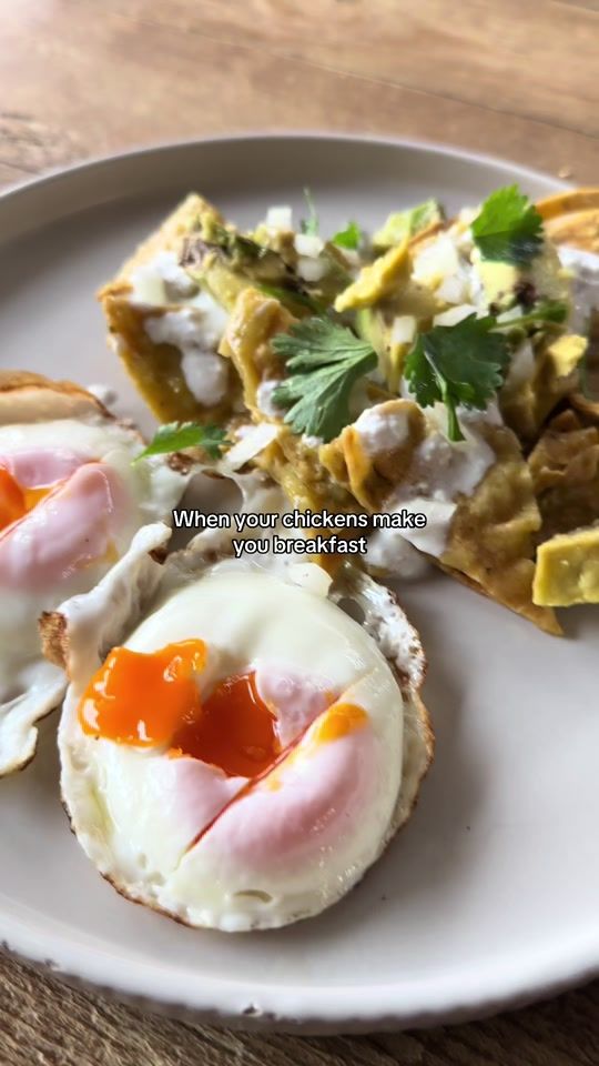 TikTok video thumbnail by theselfprofessedchef