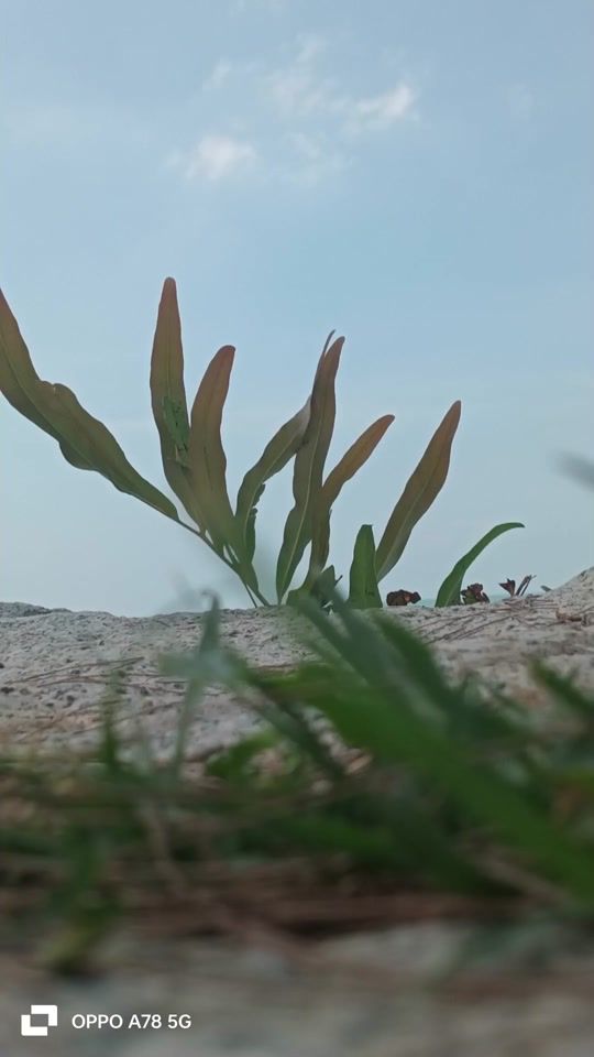 TikTok video thumbnail by vithvamasthaben