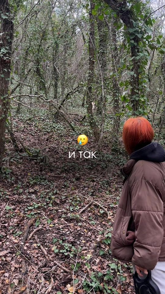 TikTok video thumbnail by labrador.marty