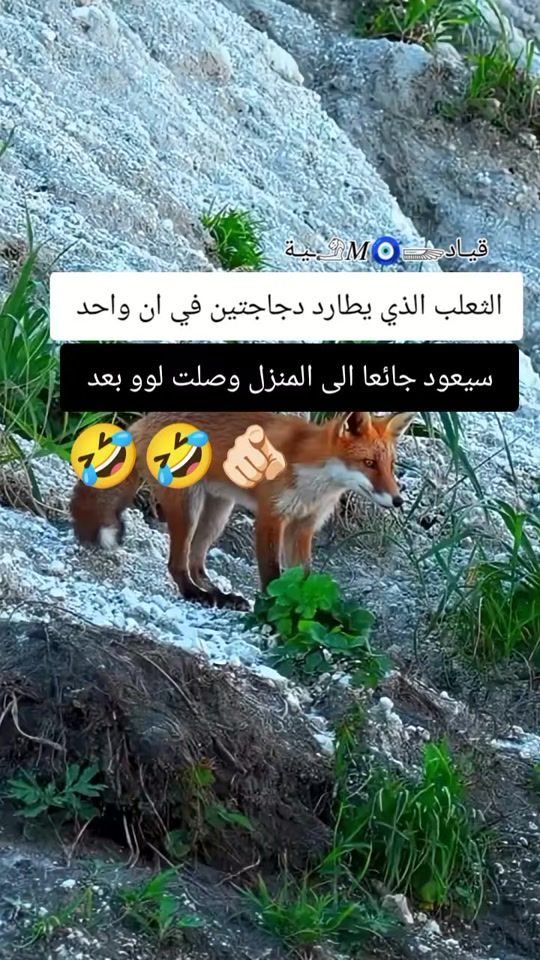 TikTok video thumbnail by 4nb.z_