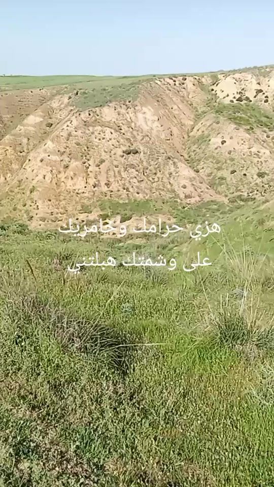 TikTok video thumbnail by salemyounssi