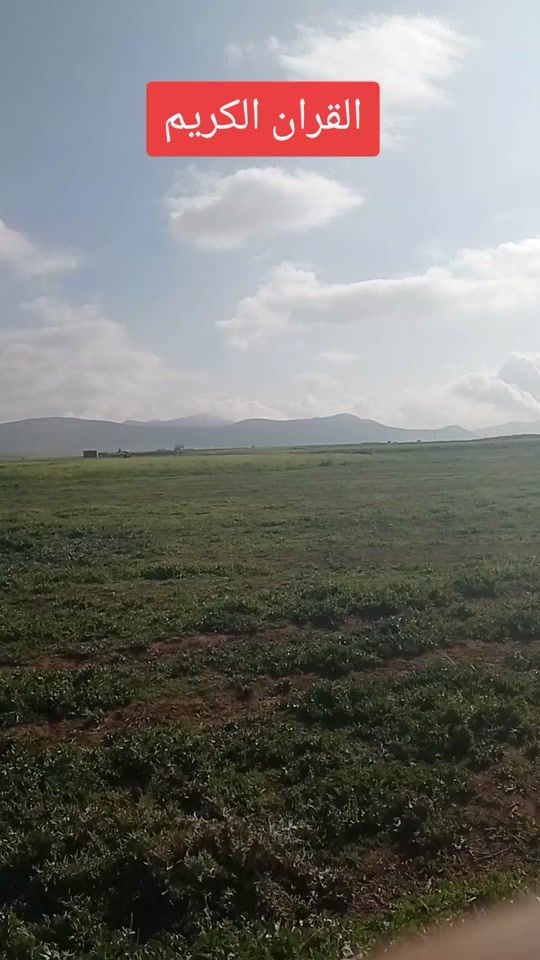 TikTok video thumbnail by mohamedessaid403
