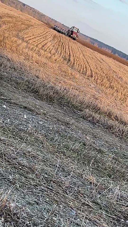 TikTok video thumbnail by astraikomihail