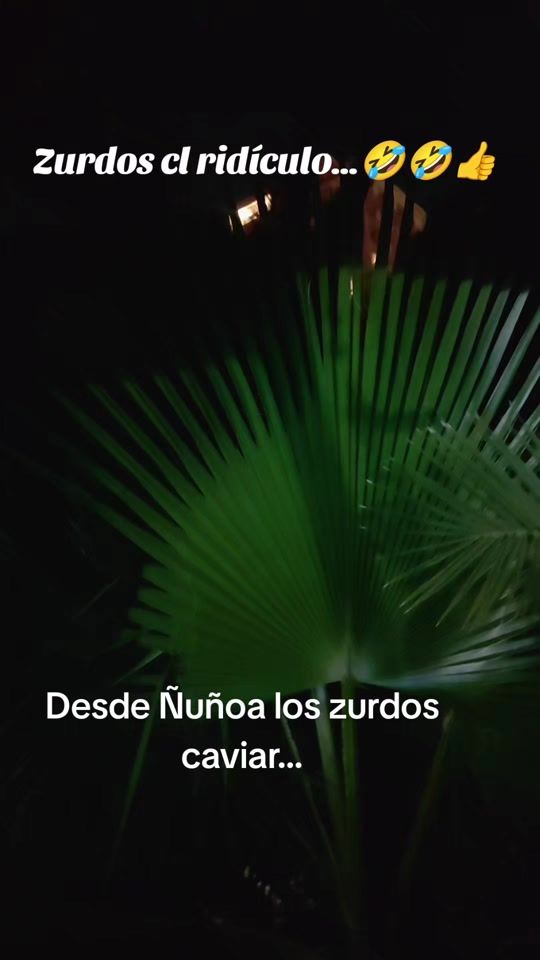 TikTok video thumbnail by dany.melody.13.fe