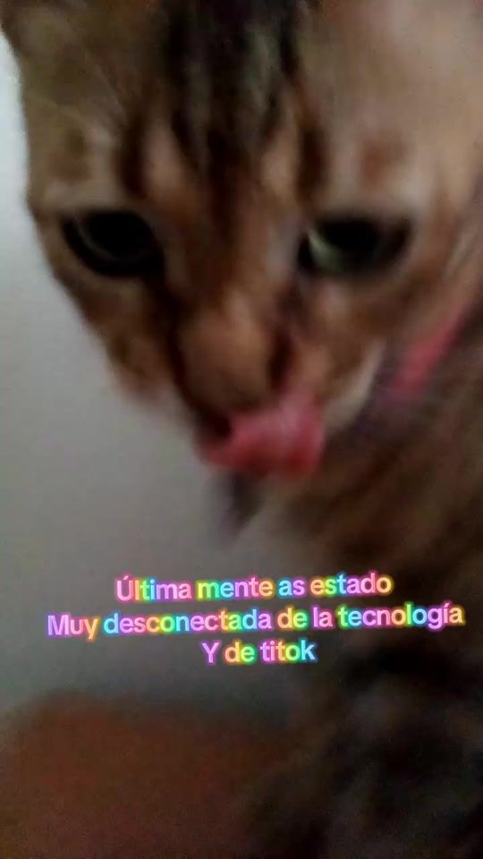 TikTok video thumbnail by teamkimbyygatos