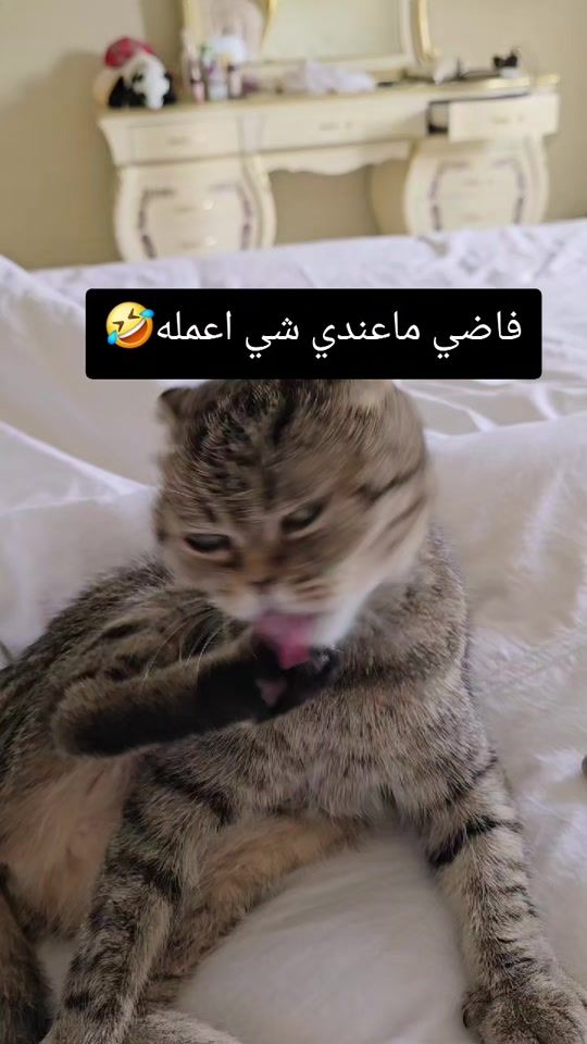 TikTok video thumbnail by luska_moroco