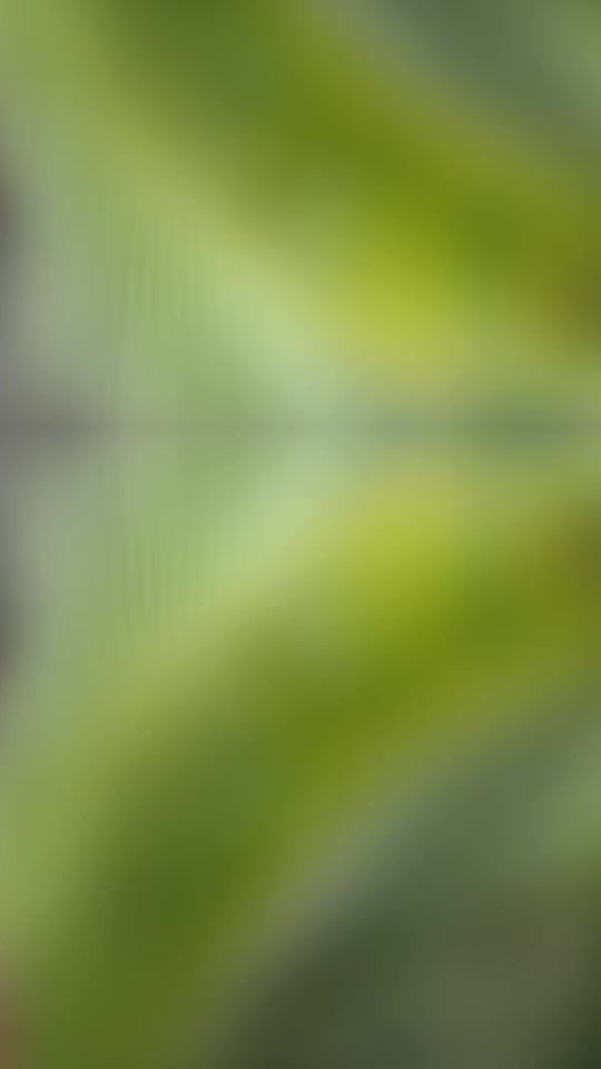 TikTok video thumbnail by badboydekunle