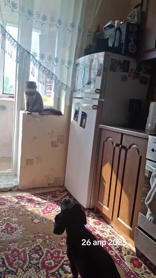 TikTok video thumbnail by ingatysy.1995