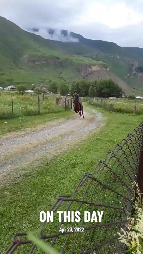 TikTok video thumbnail by gujaraidze1