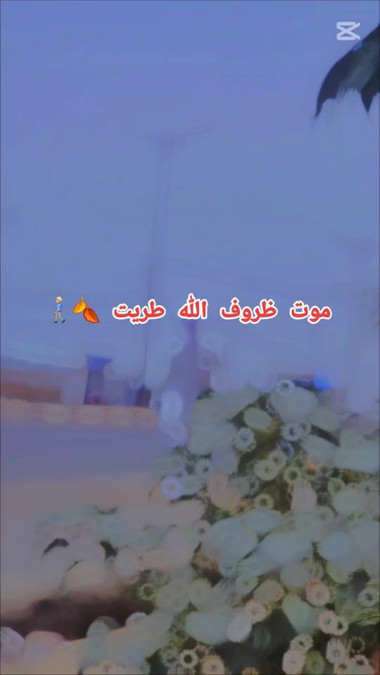TikTok video thumbnail by abou._himed_r_s_f