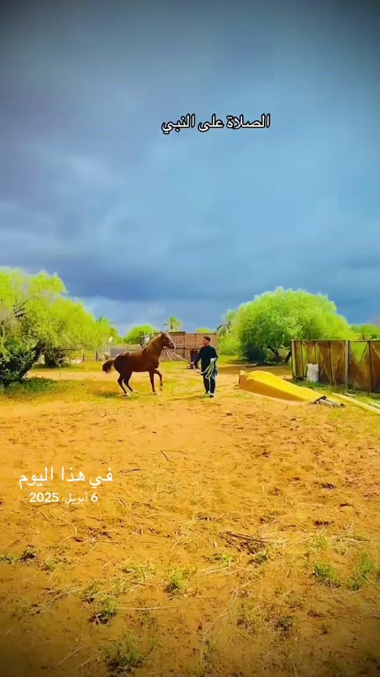 TikTok video thumbnail by usertymueyi77i