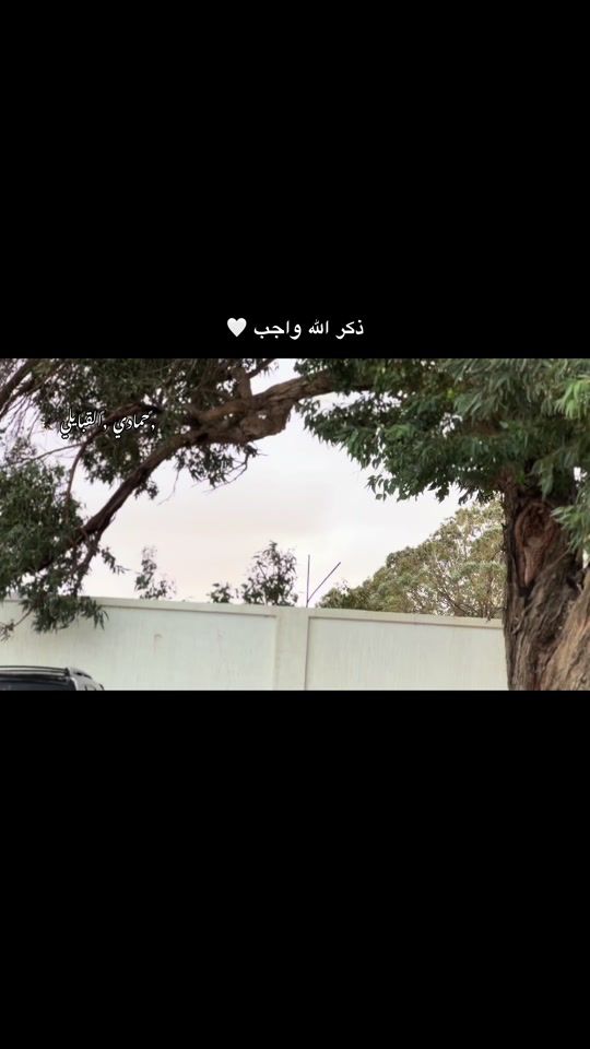 TikTok video thumbnail by 2_0_0_6_m1