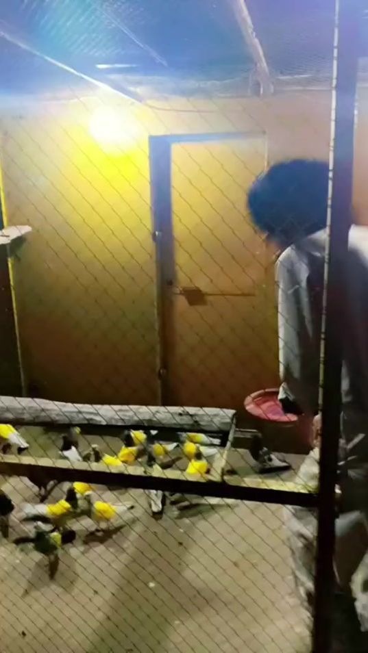 TikTok video thumbnail by samiullah.rajput14