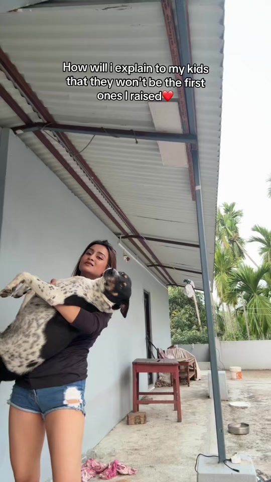 TikTok video thumbnail by bipika678