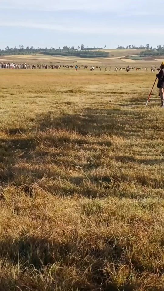 TikTok video thumbnail by gotakoo