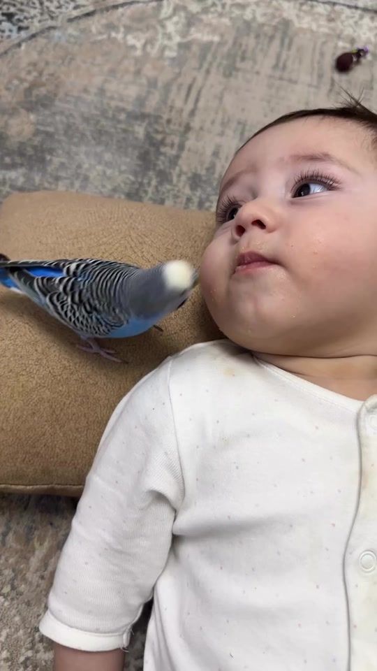 TikTok video thumbnail by eh98r