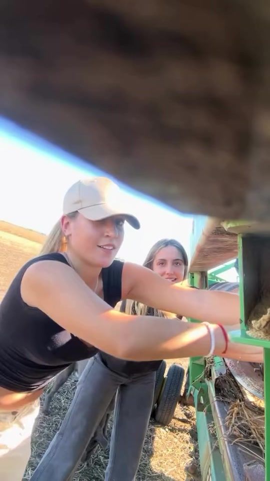 TikTok video thumbnail by milhemfarm