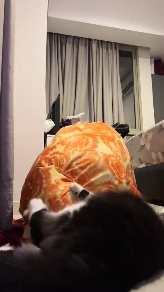 TikTok video thumbnail by smartmuslimah