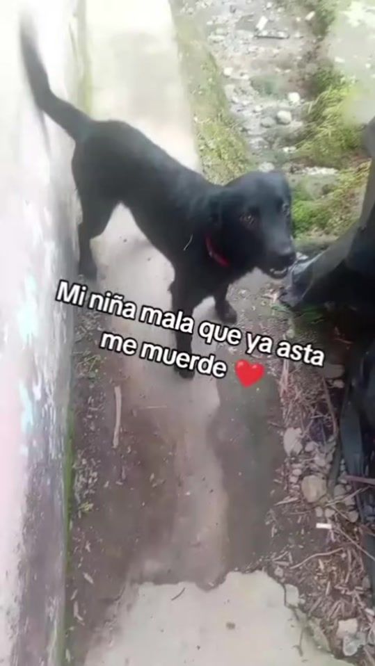 TikTok video thumbnail by tupatrona360