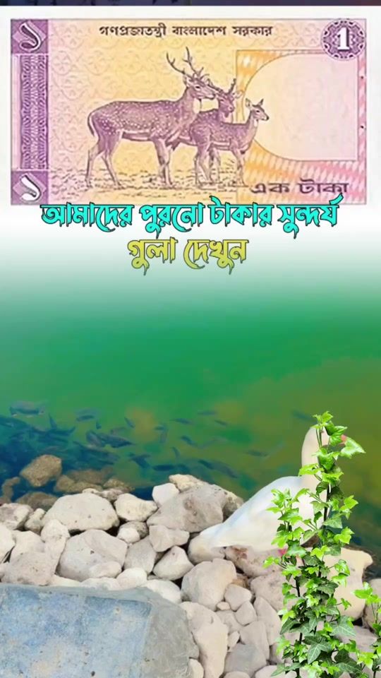 TikTok video thumbnail by md.masud3591