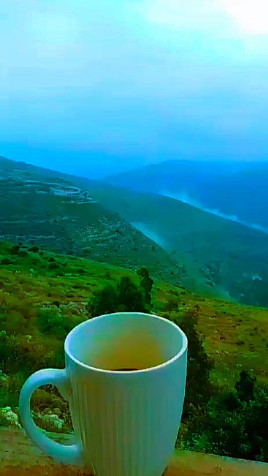TikTok video thumbnail by laila_lolo77
