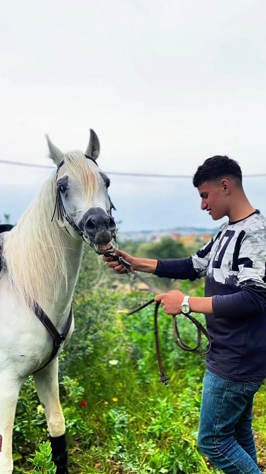 TikTok video thumbnail by abood.amarnah