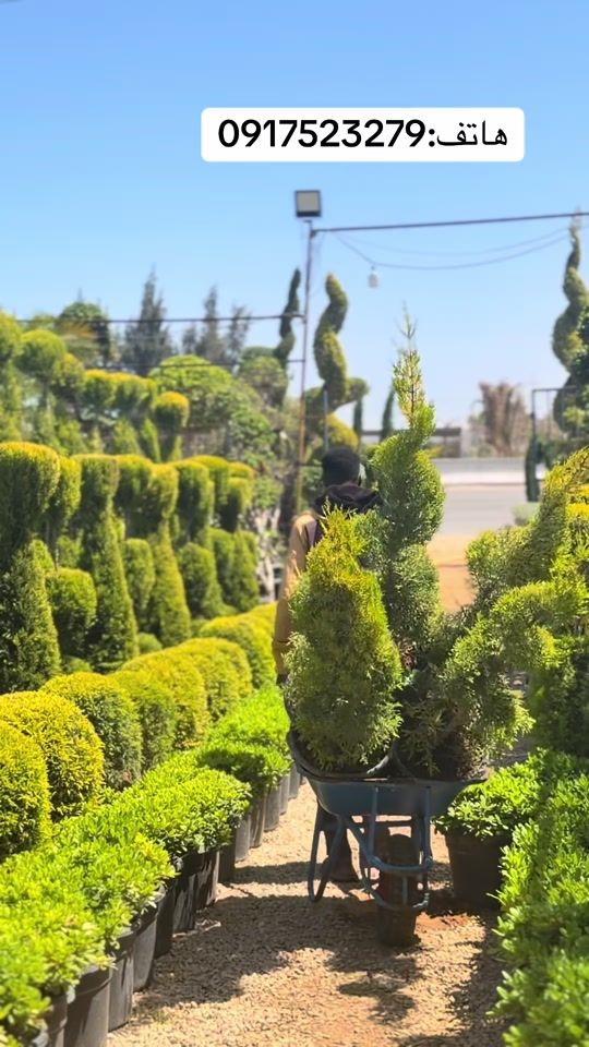 TikTok video thumbnail by alrabeh2000