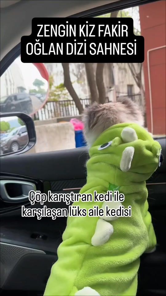 TikTok video thumbnail by a.kygz