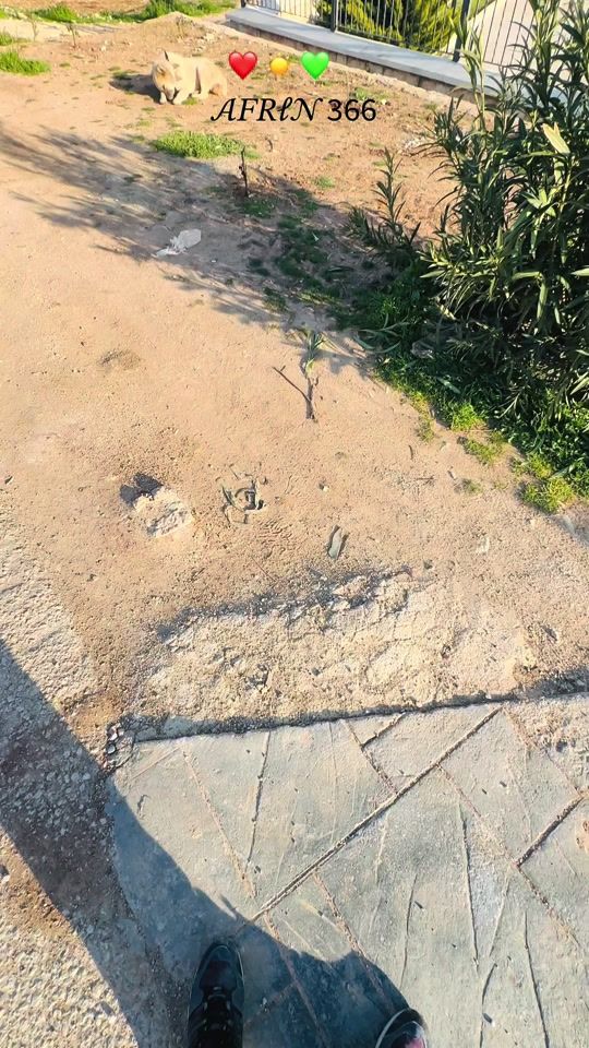 TikTok video thumbnail by mohemad_19