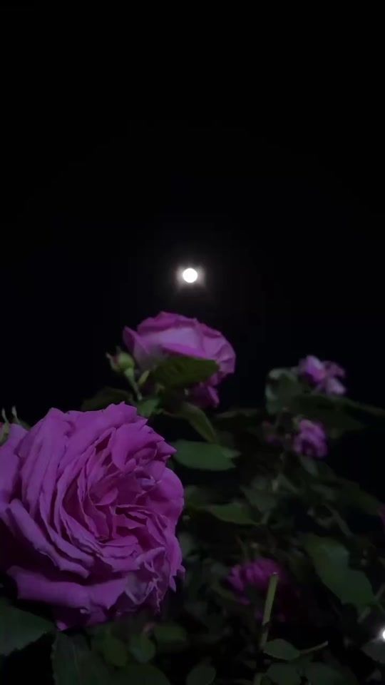 TikTok video thumbnail by yosk0o_19
