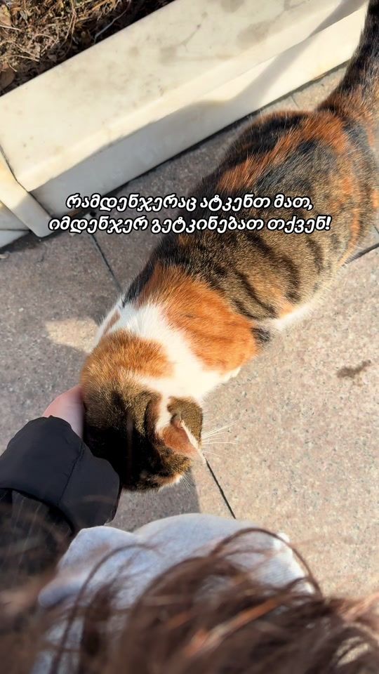TikTok video thumbnail by aneee_mommy