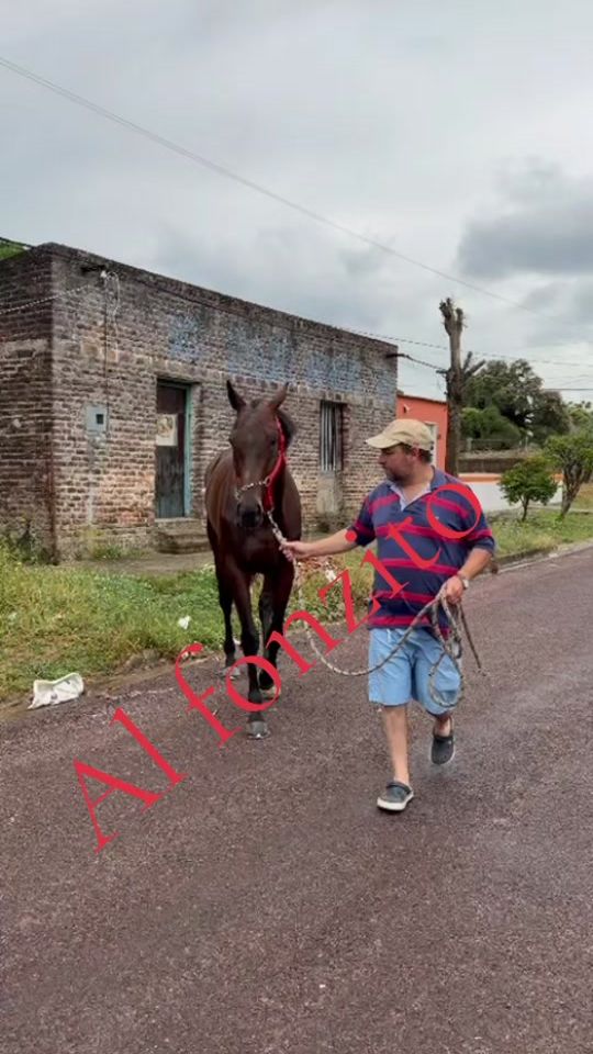 TikTok video thumbnail by wilmaricazzetti