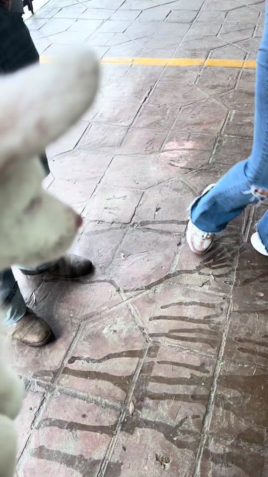 TikTok video thumbnail by elshuloo