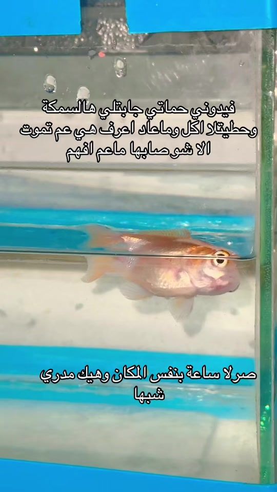 TikTok video thumbnail by dr.fatmabicer