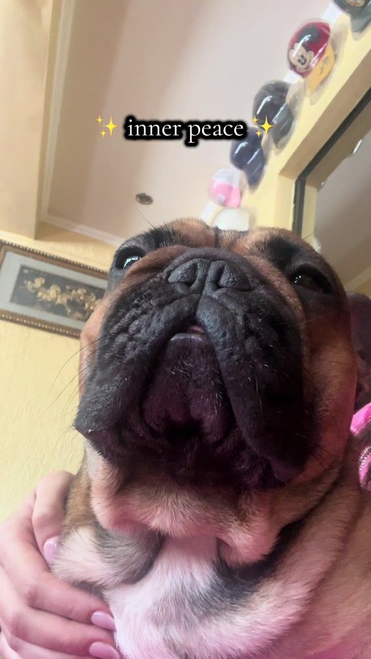 TikTok video thumbnail by robertamondong