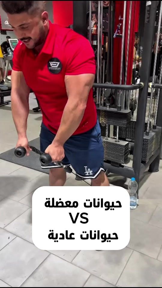TikTok video thumbnail by alghali98