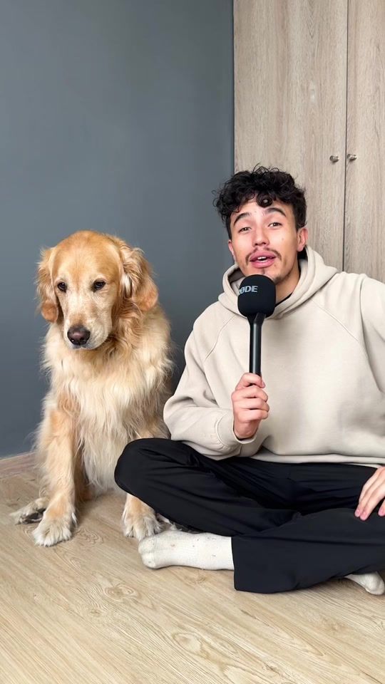 TikTok video thumbnail by davidledgerr