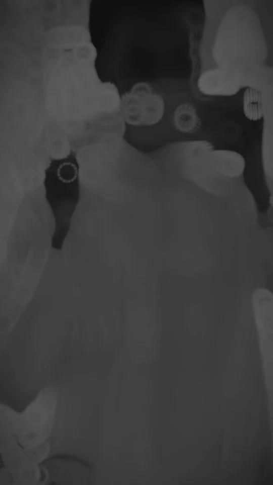 TikTok video thumbnail by amiryoussout
