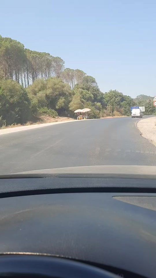 TikTok video thumbnail by ridhaferchichi3