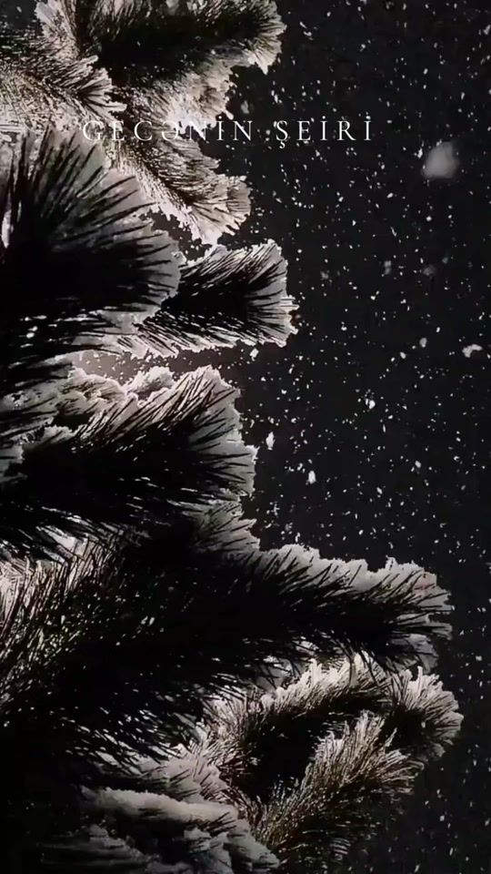 TikTok video thumbnail by meftun_huseyn_yazar