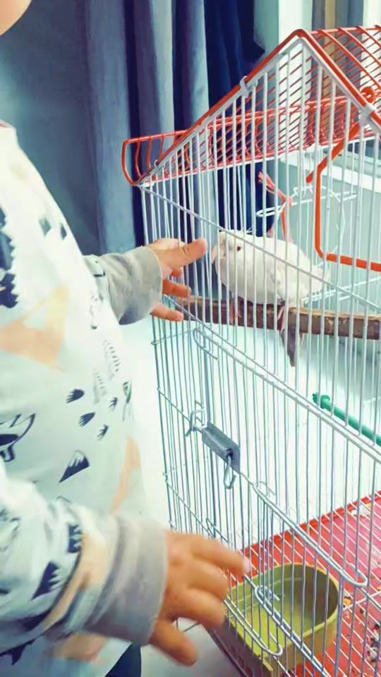 TikTok video thumbnail by deepwords373
