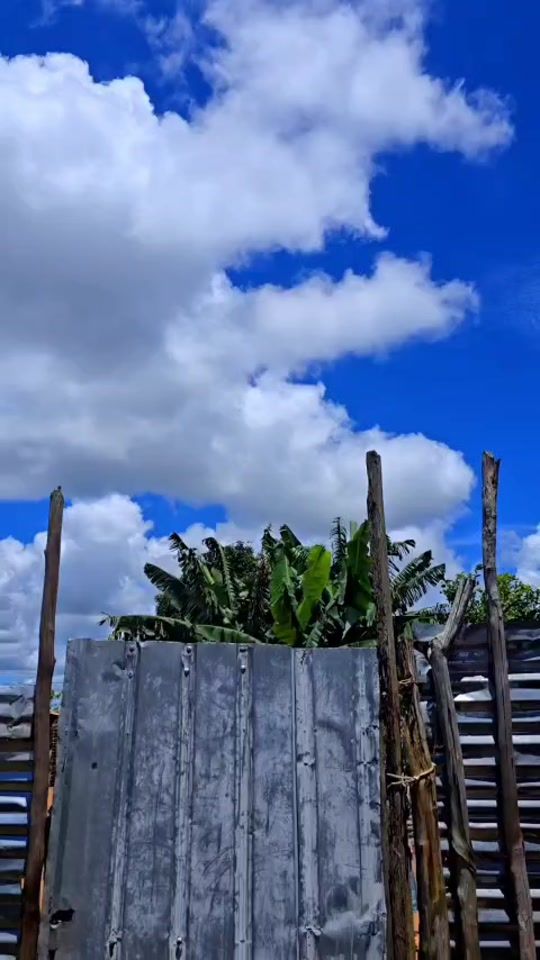TikTok video thumbnail by jambadasilva