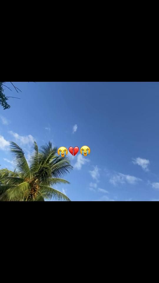 TikTok video thumbnail by queenamanda591