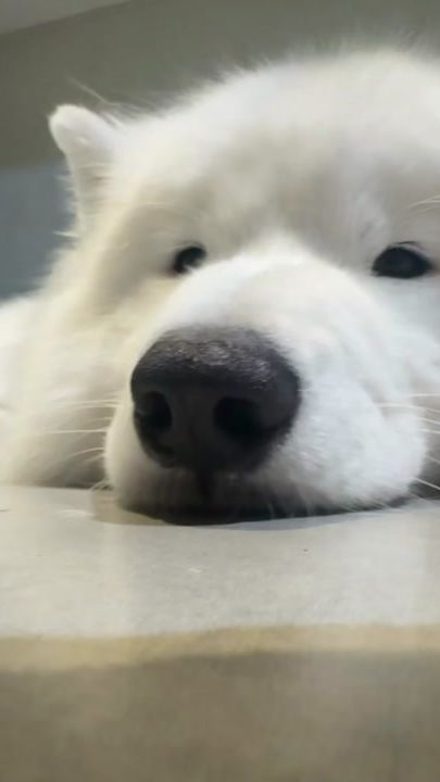 TikTok video thumbnail by nc._.39