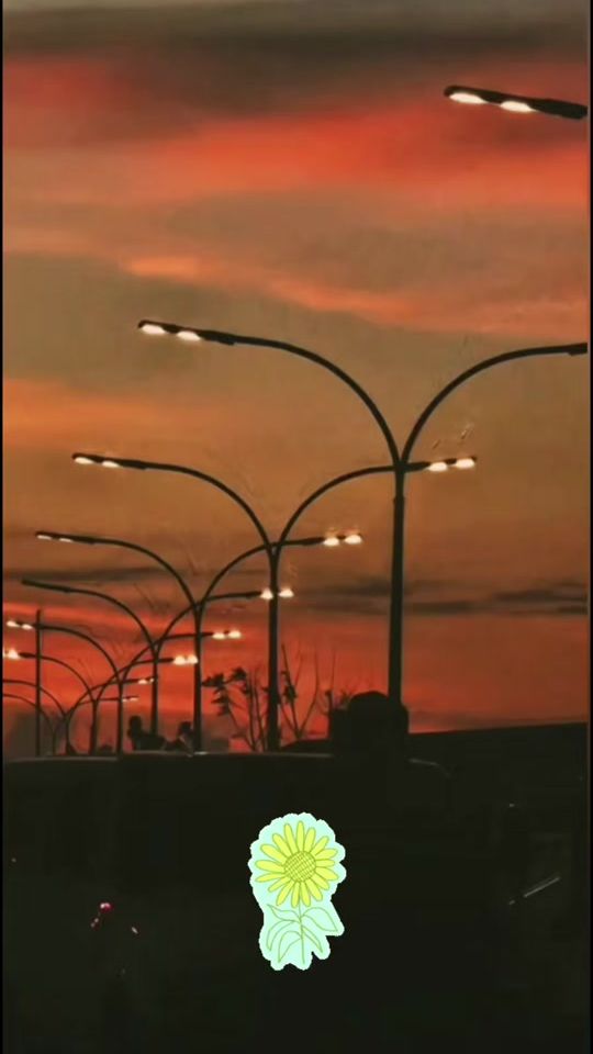 TikTok video thumbnail by sunflowergal84