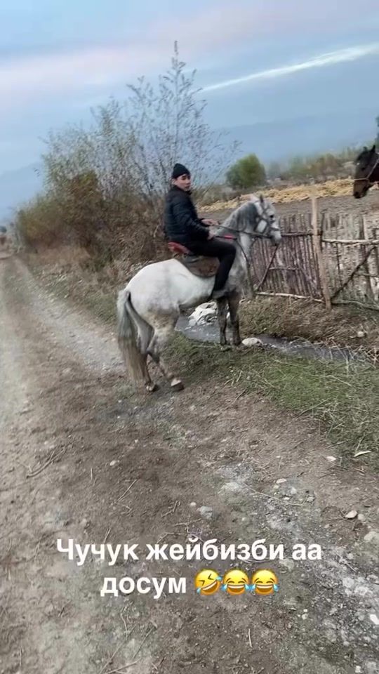 TikTok video thumbnail by bekali.24